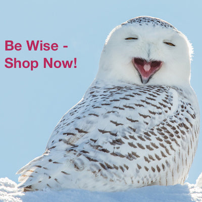 Be Wise and Shop Now for Holiday Birdhouses