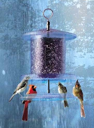Bird Feeder Keeps Seed Dry