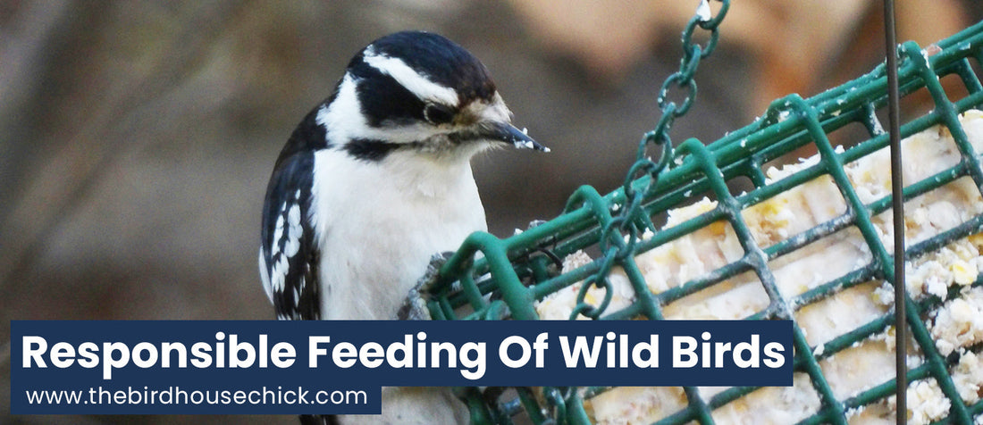 Backyard Bird Feeding - Suet vs. Vegetable Fat