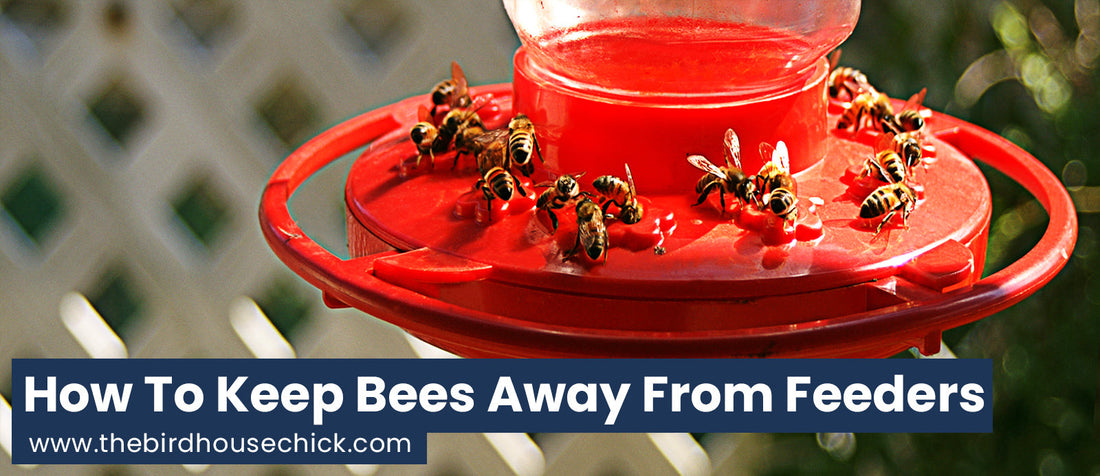 Bees Swarming Your Hummingbird Feeder?