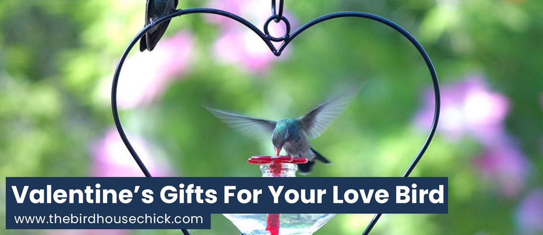 Best Garden Gifts for Valentine's Day