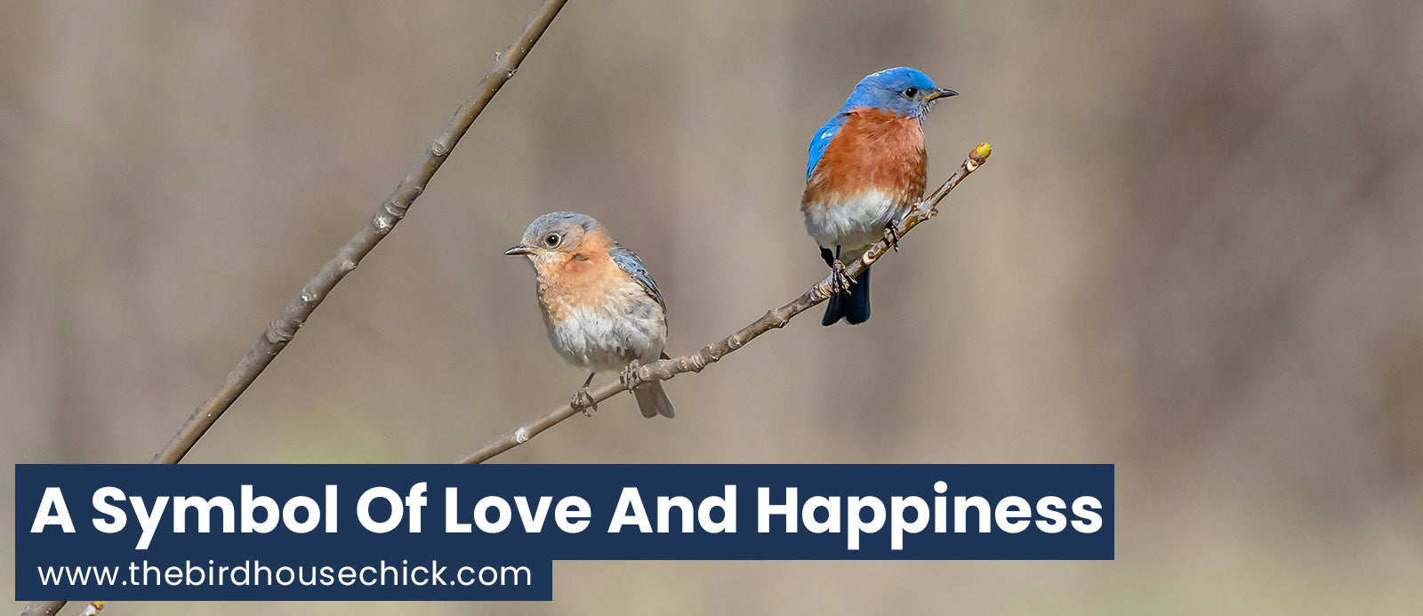 田舎の社畜　レア 完動 BlueMicrophones BlueBird Bluebird House with Pole & Noel Guard for Predators | Duncraft