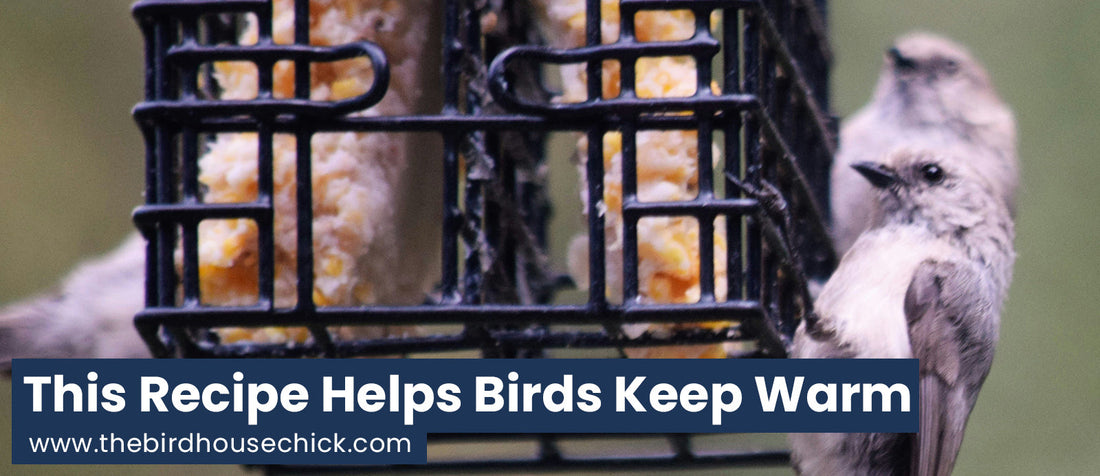 Cold Weather Feeding - The Grocery List!