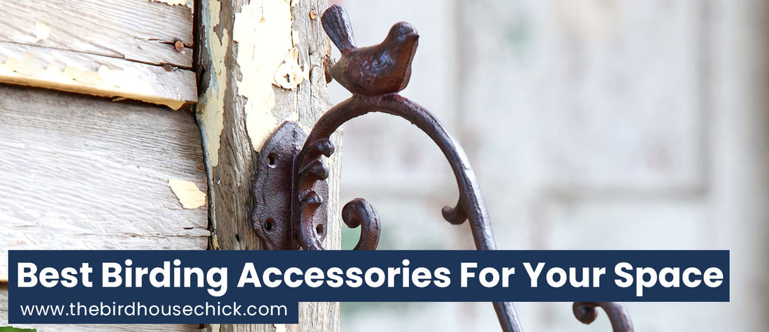 Cool Ideas for Bird Feeder Hooks and Poles