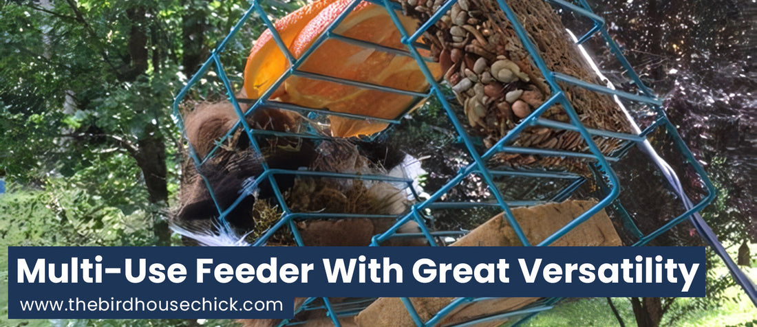 Coolness of the New Quad Suet Feeder