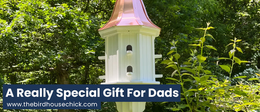 Dovecote Birdhouse is a Big Daddy Father's Day Gift!