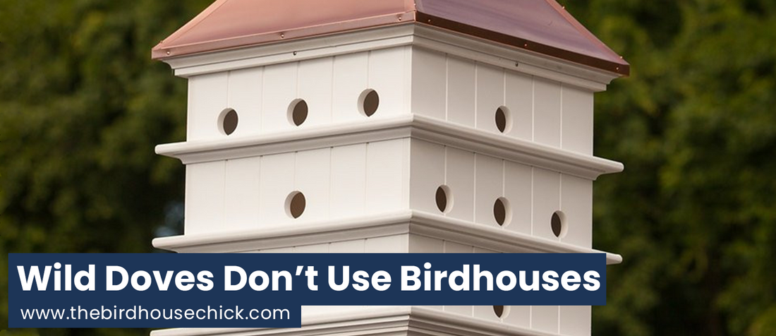 Dovecote Birdhouse Myth Expounded