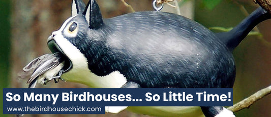 Gift Idea 1 - Unique Birdhouse... Of Course!