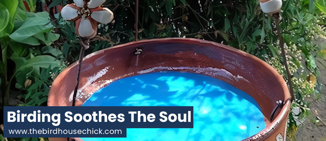 Gift Idea 10 - A Hanging Bird Bath to Soothe the Soul