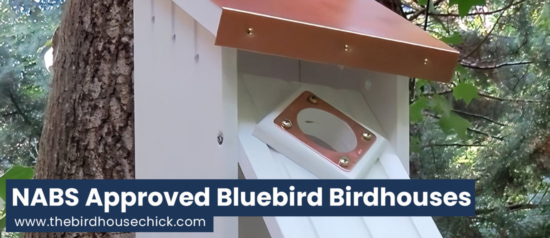 Gift Idea 4 - Bluebird House: A Good One!