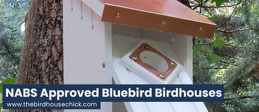 Gift Idea 4 - Bluebird House: A Good One!