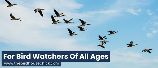 Great Backyard Bird Count 2011