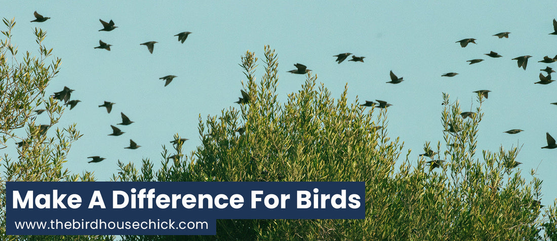 Great Backyard Bird Count 2014
