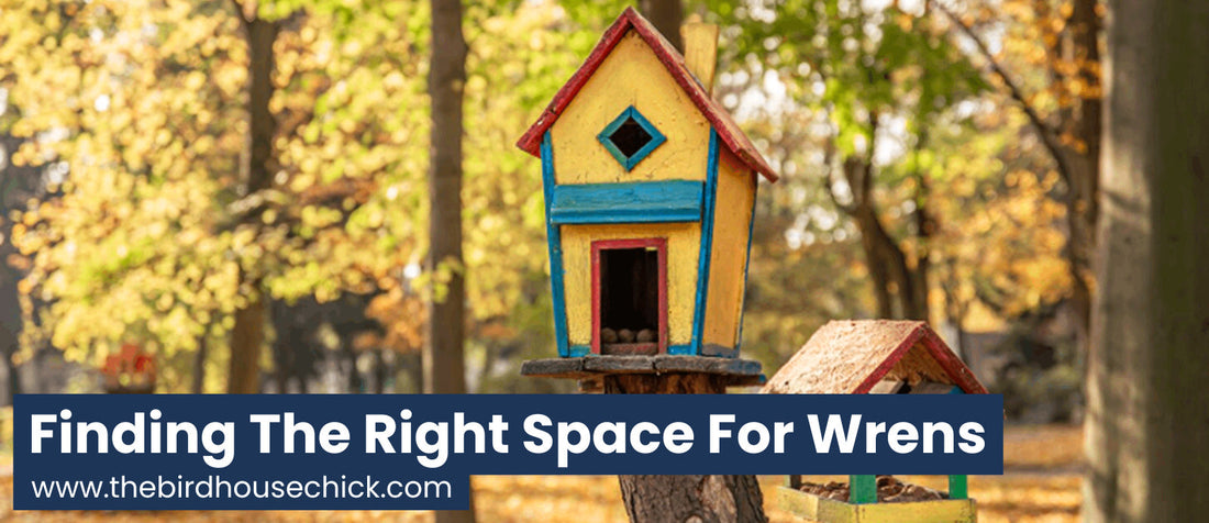 How far apart should wren houses be?