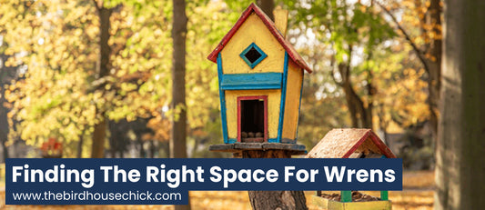 How far apart should wren houses be?