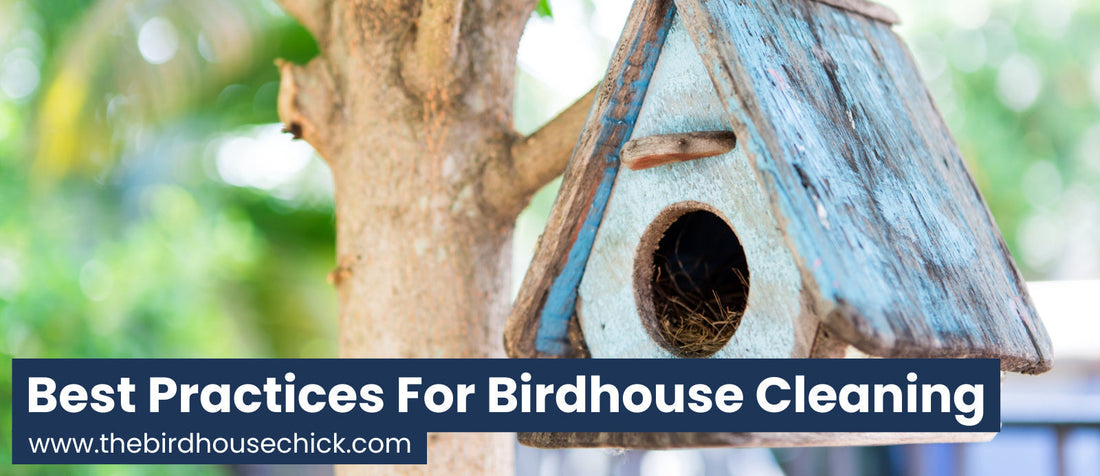 How Often Should Birdhouses Be Cleaned? Best Practices for Bird Safety