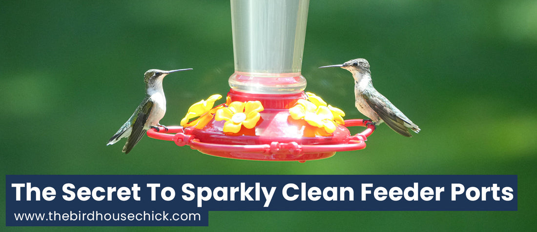 Hummingbird Feeder Hack