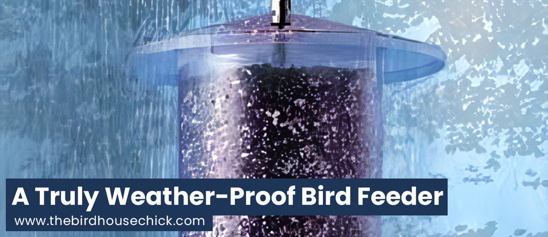 Innovative Bird Feeder Really Keeps Seed Dry!