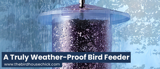Innovative Bird Feeder Really Keeps Seed Dry!