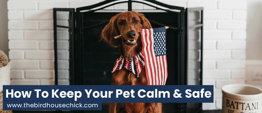 July 4th Fireworks and Keeping Pets Safe