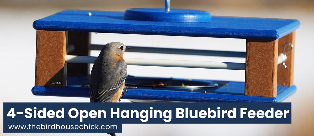 New Bluebird Feeder Has Been Around for Years