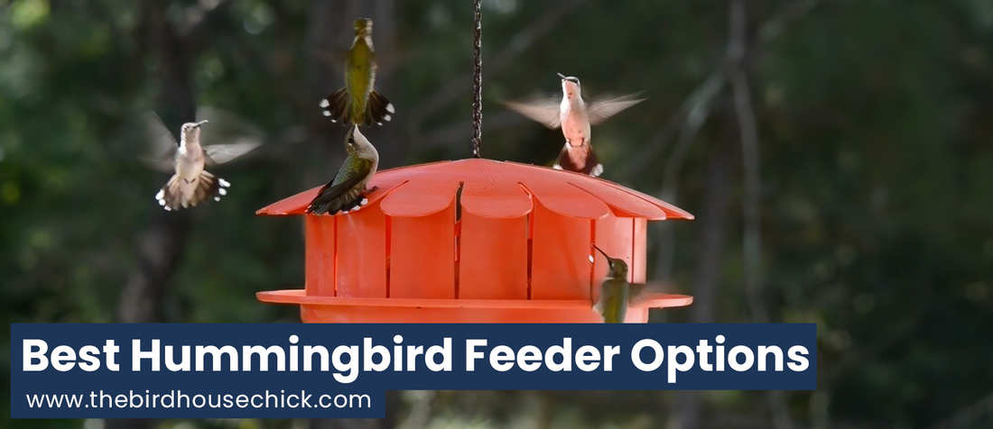 New Humm-Bug and Hand-Painted Hummingbird Feeders