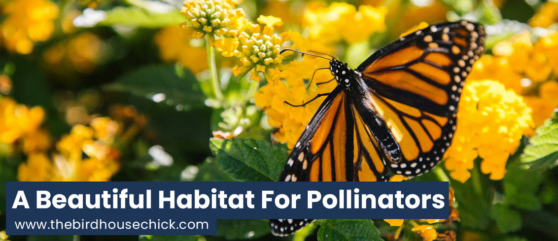 Pollinator Gardens in More Schools... Please! Get a Free Bat House on Us