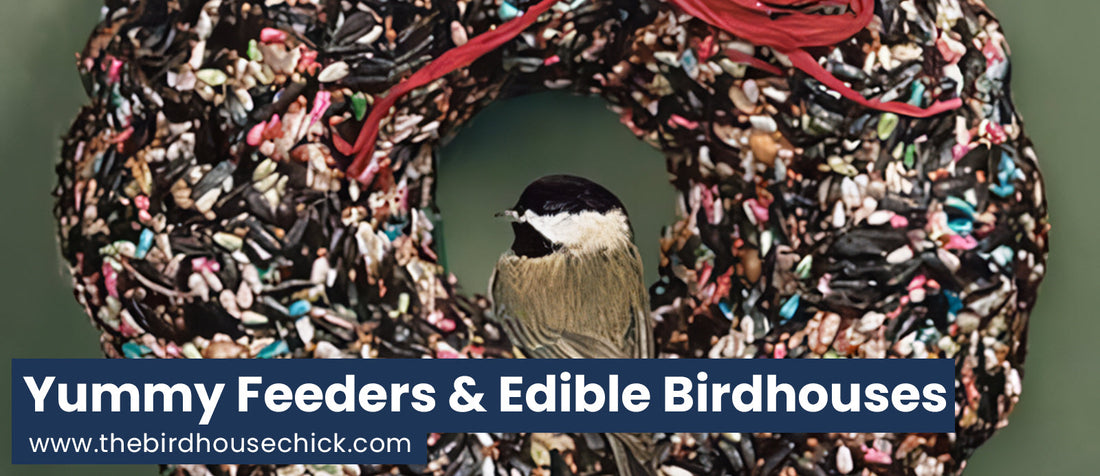 Sweet Treats for Birds On Sale