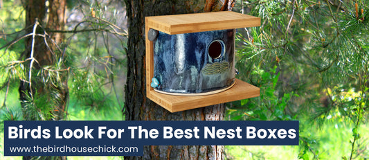 Too Late to Hang a Handmade Birdhouse?
