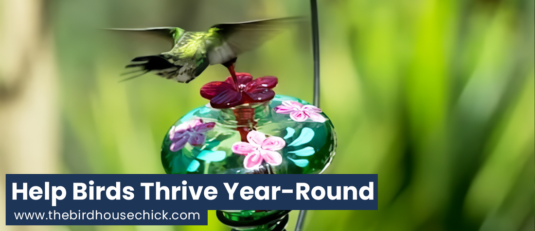 Traffic's Been Slow at Your New Bird Feeder?
