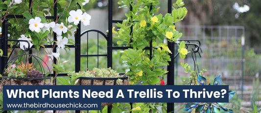 What plants need a trellis?