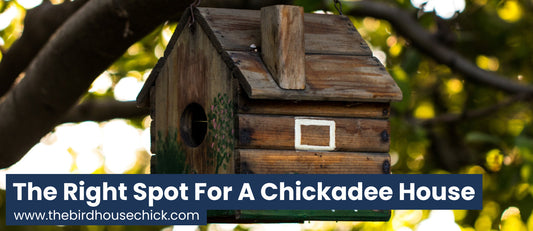 Where to place a chickadee house.