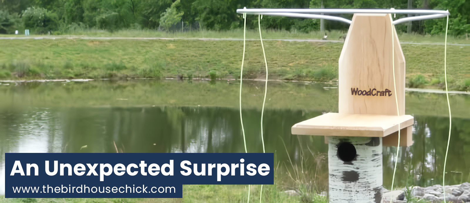 Pair Bluebird Houses with Sparrow Spooker | House Sparrow Control