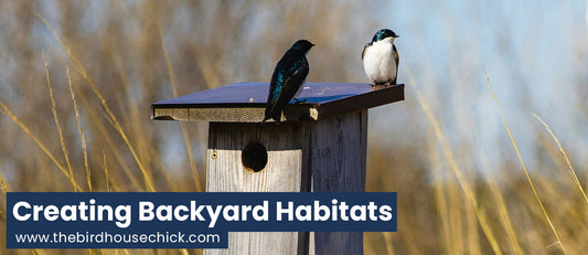 Year Round Care for Wild Birds