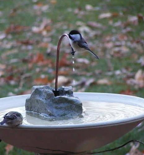 Bird Bath Fountains, Misters & Wigglers