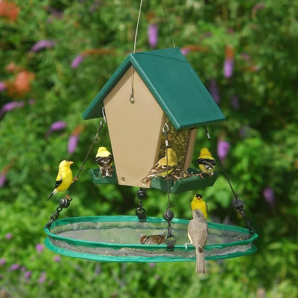 Seed Trays & Catchers