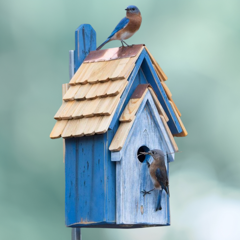 Rustic Bluebird Manor