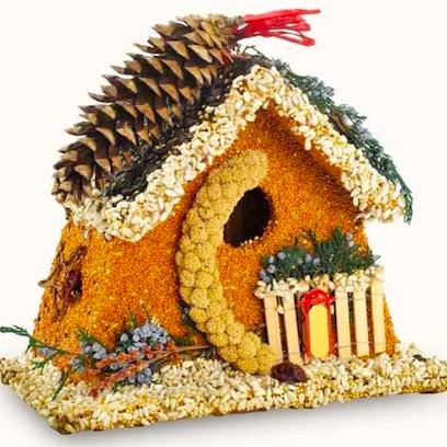 Edible Birdhouse Gifts
