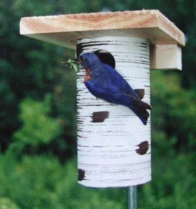 Nest Boxes, Nesting Material & Birdhouses
