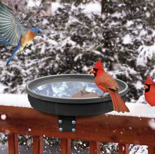 Heated Bird Baths