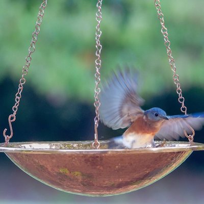 On Sale-Birdhouses, Bird Feeders, Garden Art