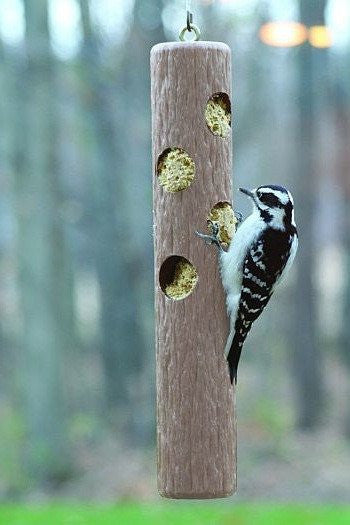 Recycled Plastic Birdhouses and Bird Feeders
