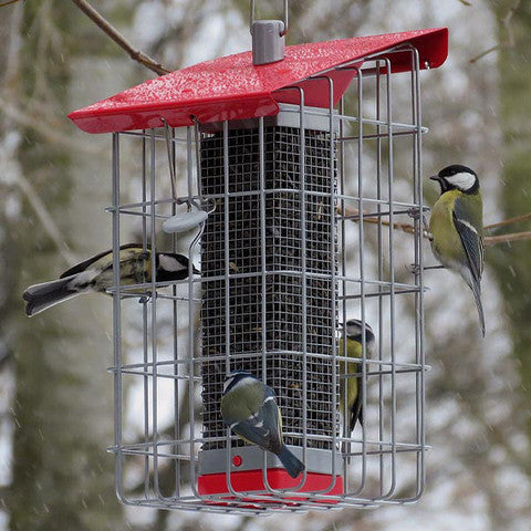 Squirrel-Proof Bird Feeders