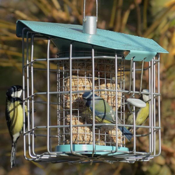 Suet Feeders