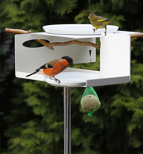 Songbird All Weather Feeder  Weather-Proof Bird Feeders - The Birdhouse  Chick