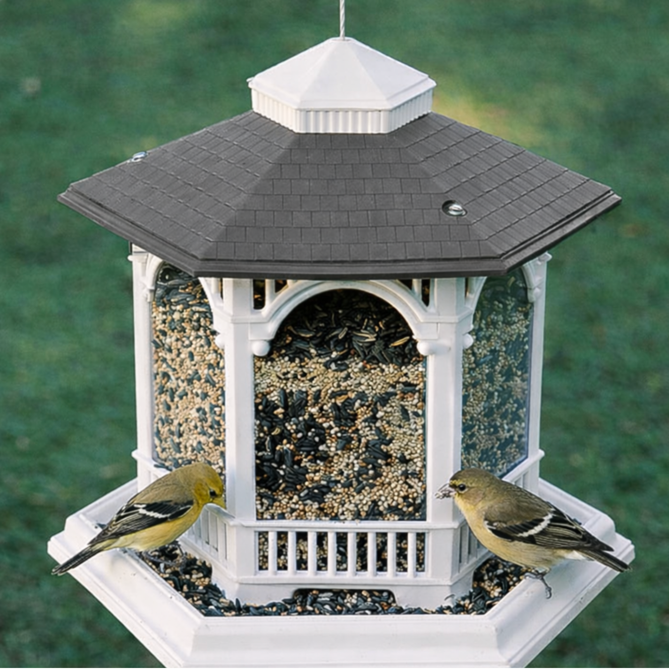 Gazebo style bird feeder with gold finch munching on seed with a green grassy background