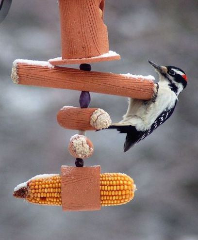 Suet Feeders