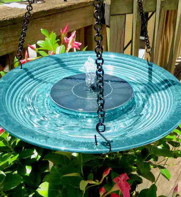 Hanging Bird Baths