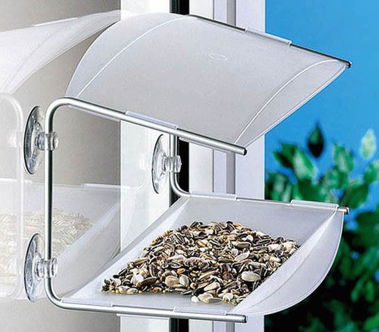 Window Feeders