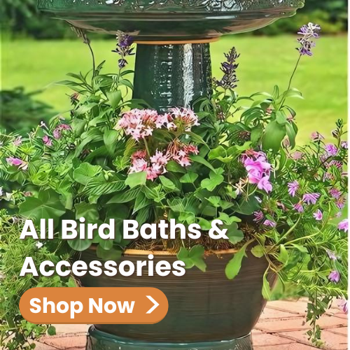Unique & Unusual Bird Baths for Sale | The Birdhouse Chick